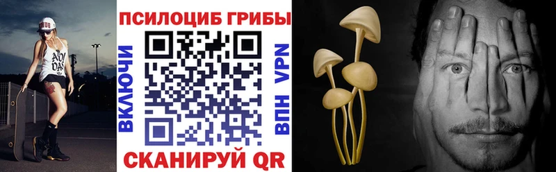 Галлюциногенные грибы мухоморы  где купить наркоту  Старая Купавна 